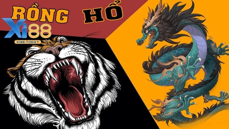 Tổng quan về Rồng Hổ Xi88
