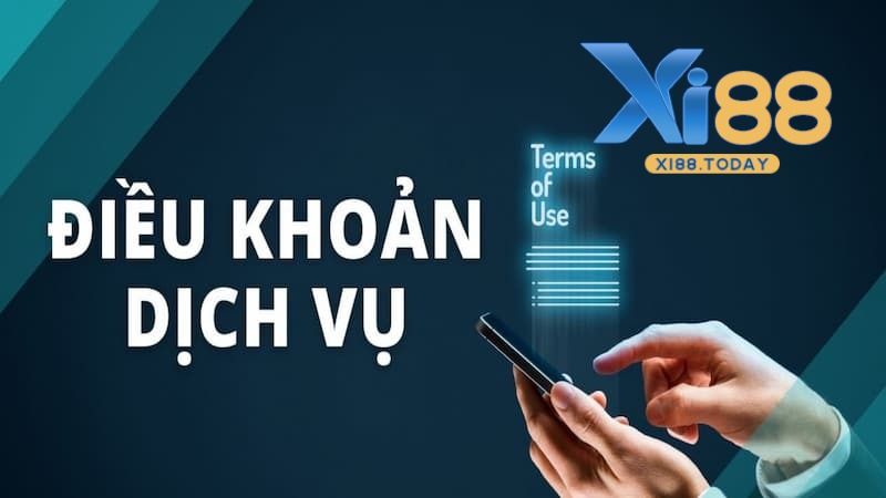 Vì sao tìm hiểu các điều khoản điều kiện?
